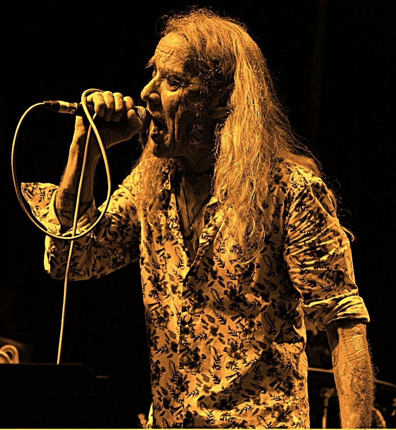 Photo of WAYNE GREEN - ROAD KILL FOR THE BUZZARDS ALBUM